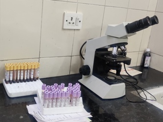 LAB SERVICES